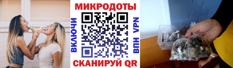 Псилоцибиновые грибы Psilocybine cubensis  где продают   Щёлкино 